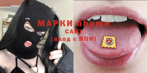 молекула духа Вязьма